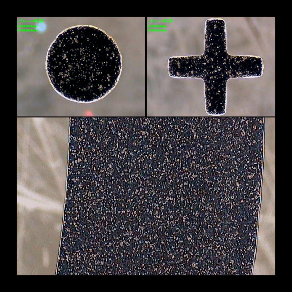 black-border-printing-2D