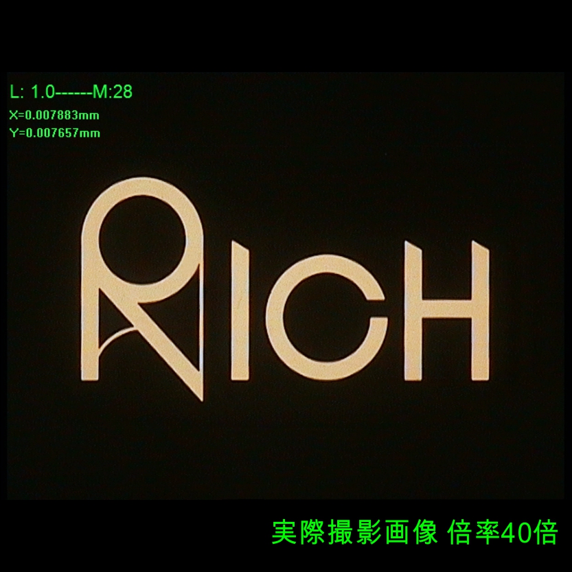 rich-gobo-40x