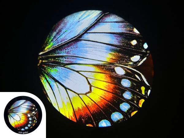 Butterfly gobo projection with butterfly gobo product photo in the bottom left corner